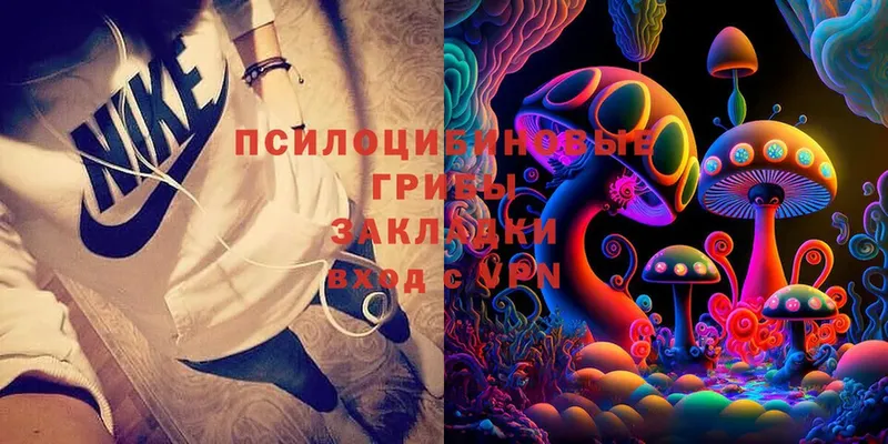 Галлюциногенные грибы Magic Shrooms  Кунгур 